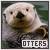 Otters