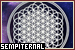 I can't drown my demons, they know how to swim || The Sempiternal Fanlisting