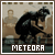 Heart Full of Pain || The Meteora Fanlisting