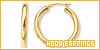 The Basics || The Hoop Earrings fanlisting